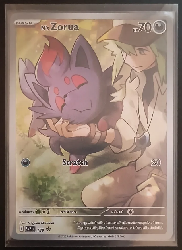 N's Zorua · NM · EN · Non-Holo