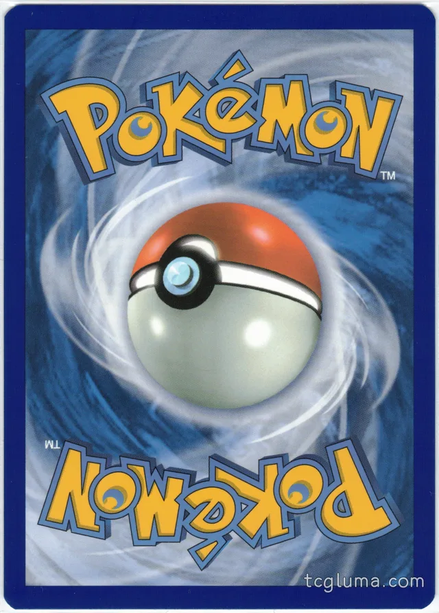 Litten · NM · EN · Taustapuoli